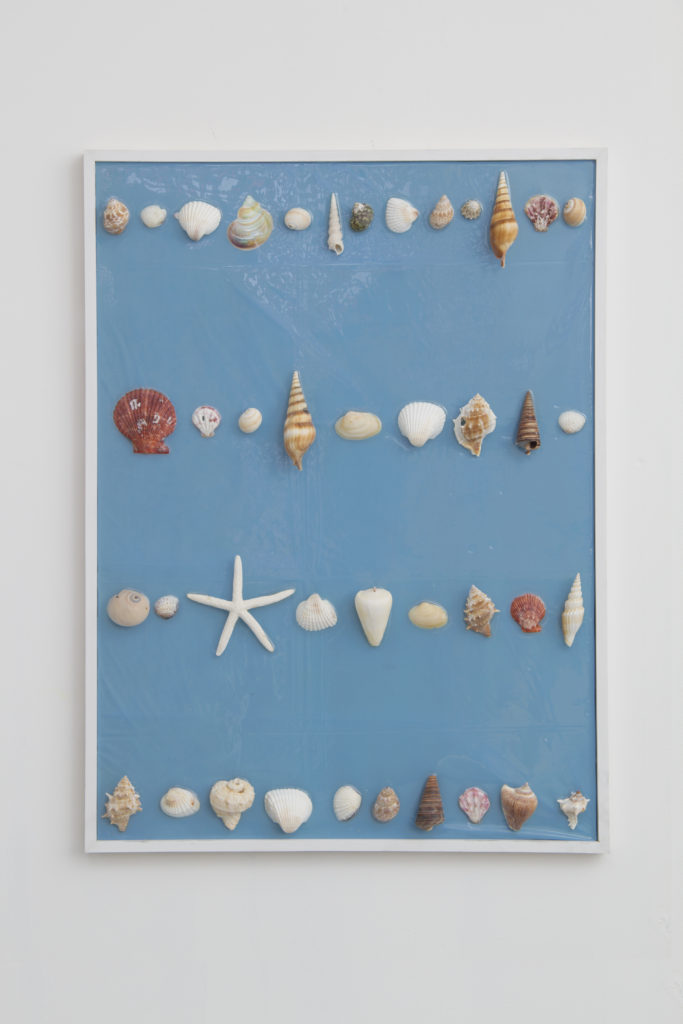 Ordered, Delivered, Arranged #1 2014 flatwork by Aaron King shells, resin, wood, plastic 24'' x 30'' Ordered, Delivered, Arranged #1 2014 flatwork by Aaron King shells, resin, wood, plastic 24'' x 30''