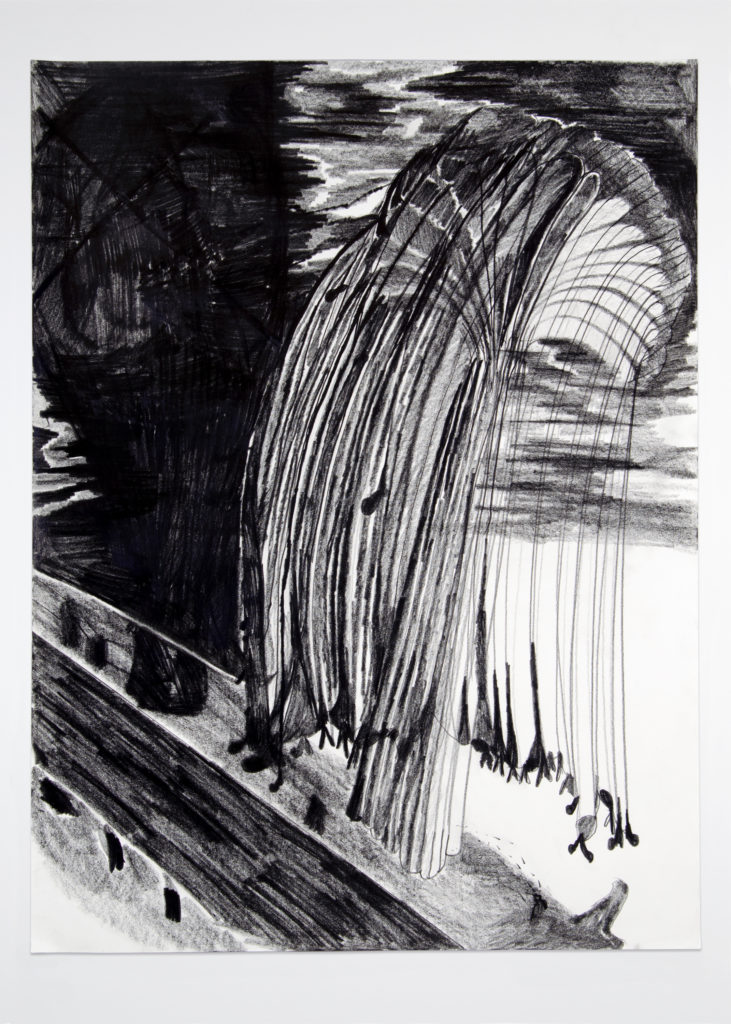The Willow 2020 Drawing by Aaron King Art 18''x24''